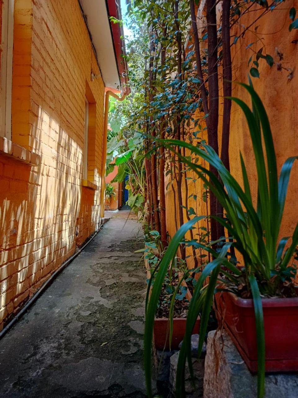 Apartamento Casa-arbol