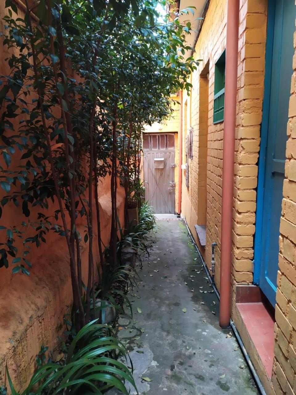 Casa-arbol * Bogotá